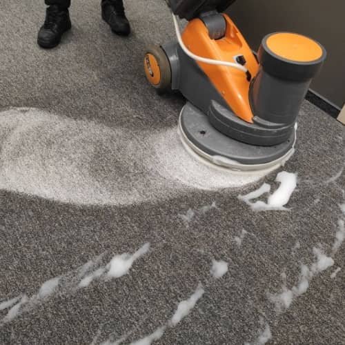 Carpet Cleaning